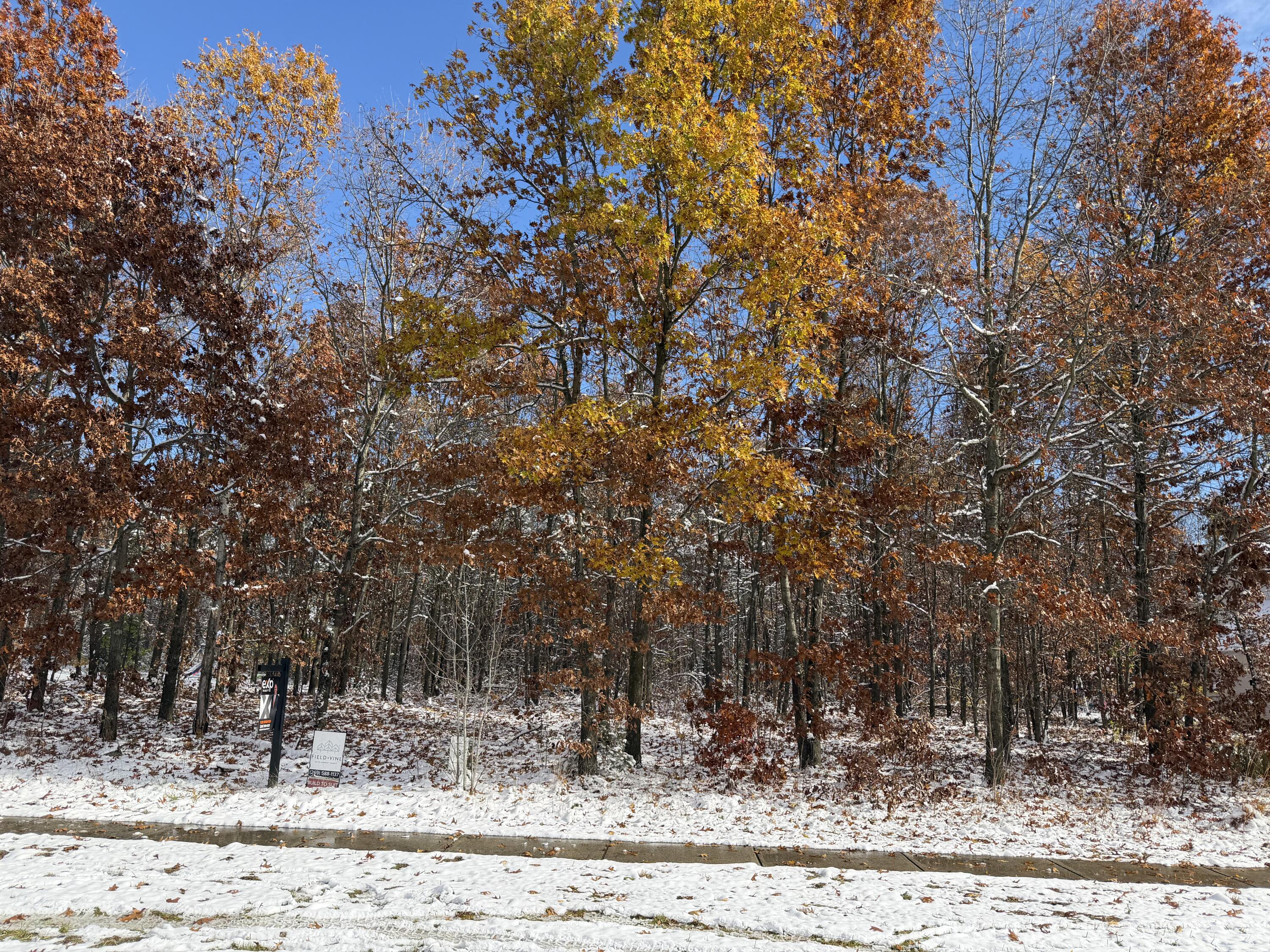 Land in Kalamazoo