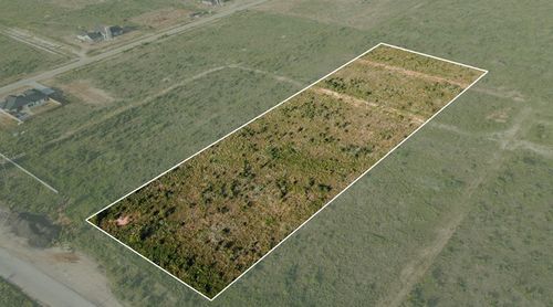 0 County Rd, Stanton, TX, 79782 | Card Image