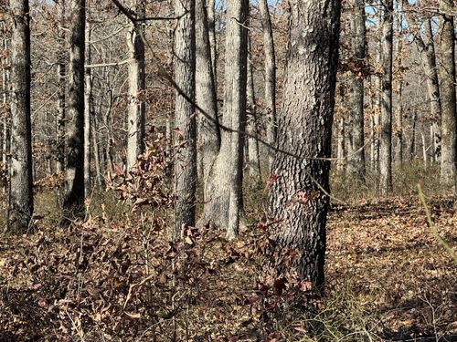 0 Ridgewood Dr, Mc Ewen, TN, 37101 | Card Image