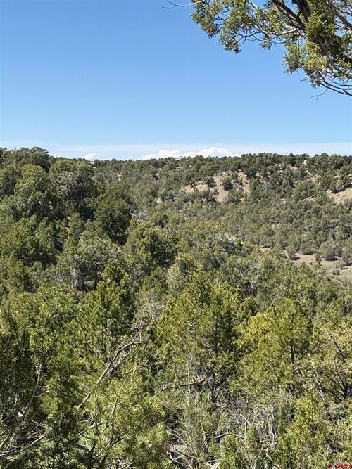 TBD J8 Road, Mancos, CO, 81328 | Card Image