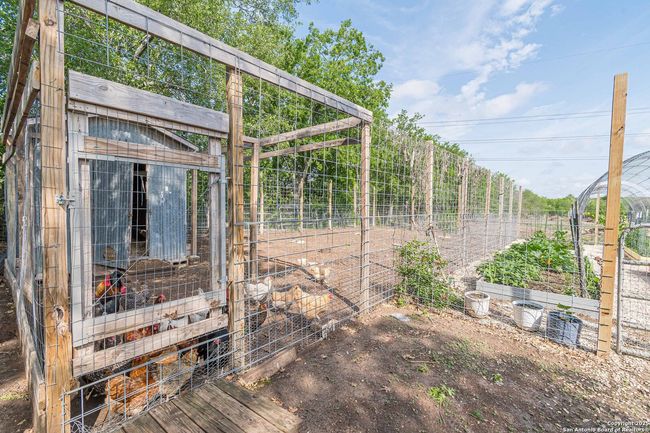 3951 Briar Hollow St, House other with 3 bedrooms, 2 bathrooms and null parking in San Antonio TX | Image 47
