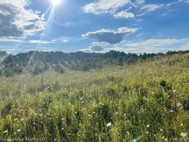 5770 Denhoff Rd, Home with 0 bedrooms, 0 bathrooms and null parking in Kingston MI | Image 20
