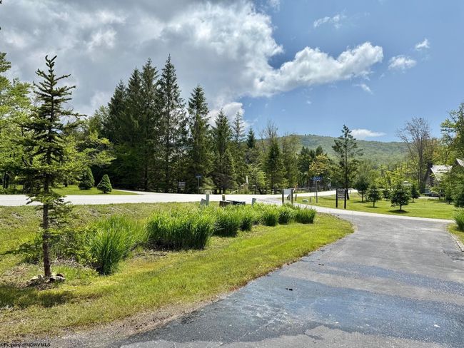 146 Yoakum Run Rd, House other with 4 bedrooms, 3 bathrooms and 3 parking in Davis WV | Image 13