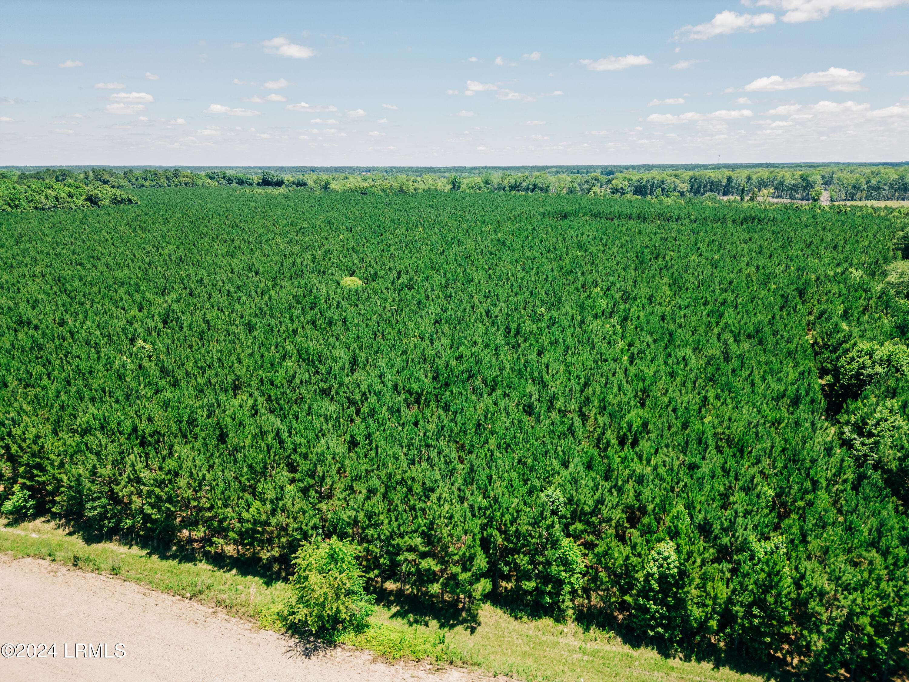 Land in Islandton 2