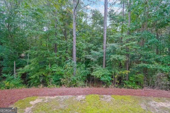 27 Thunder Ridge Ct, House other with 5 bedrooms, 4 bathrooms and 2 parking in Acworth GA | Image 38