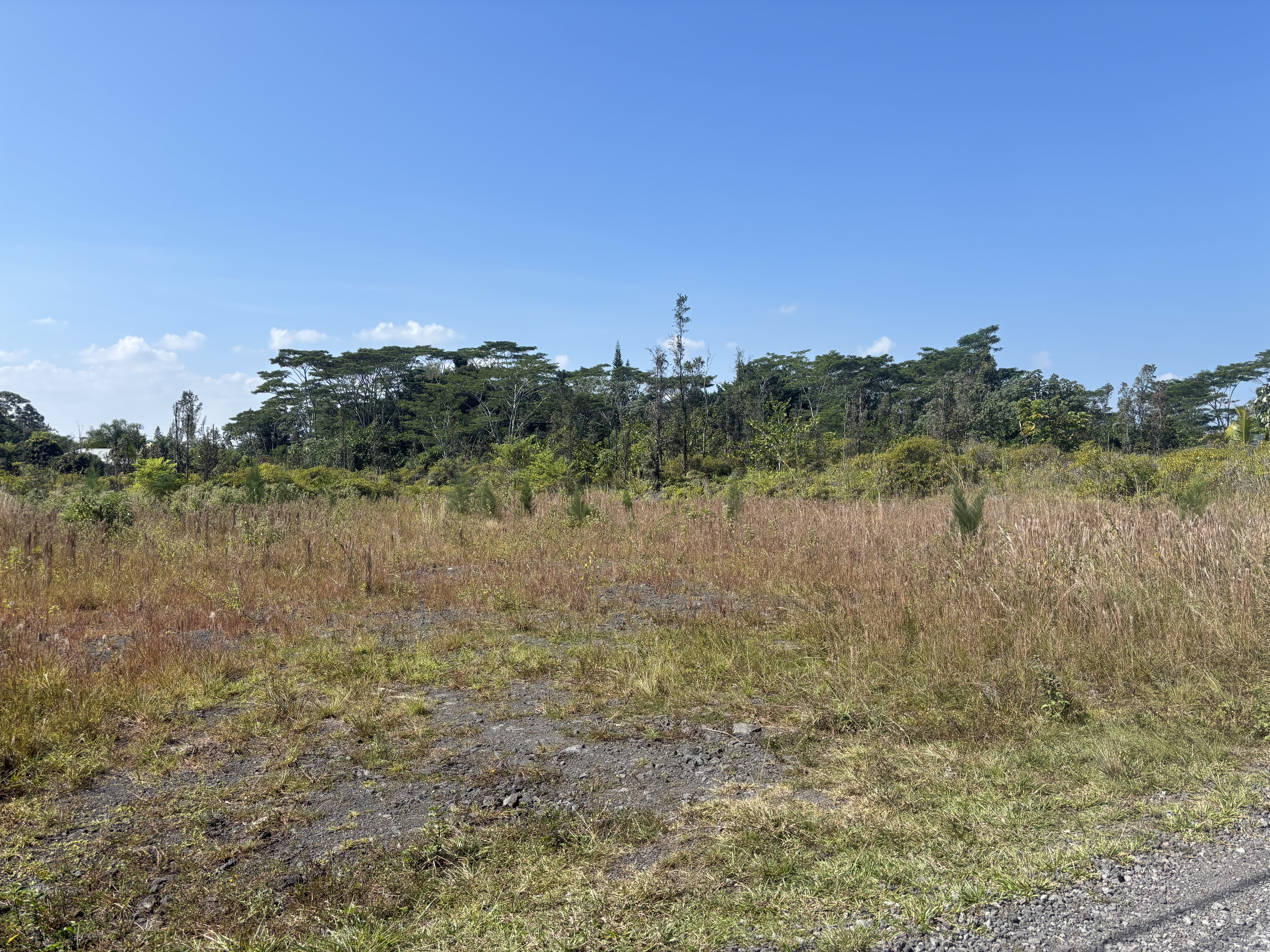 Land in Keaau 5