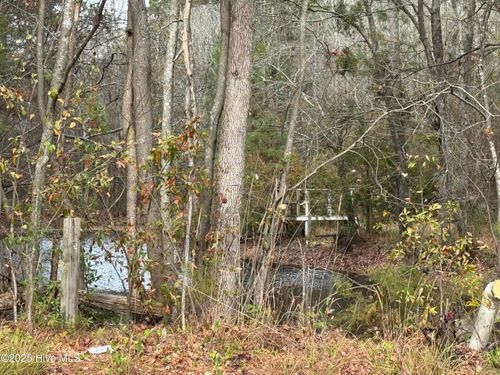 0 Boyd Lake Rd, Hamlet, NC, 28345 | Card Image