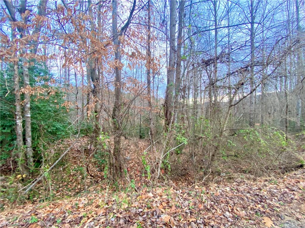 Land in North Wilkesboro 3