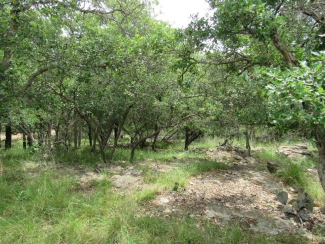 3210 Captains Cv, House other with 3 bedrooms, 1 bathrooms and null parking in May TX | Image 13