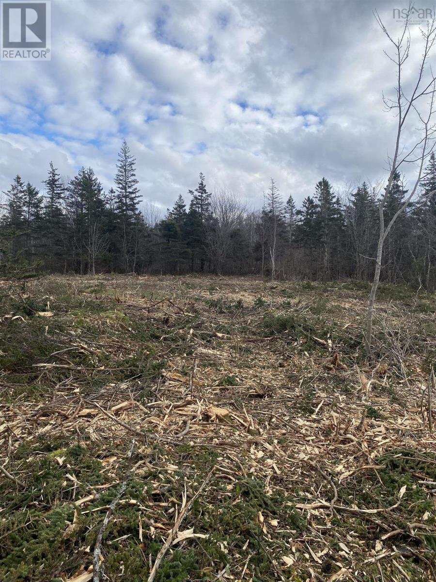 Land in Phinneys Cove 5