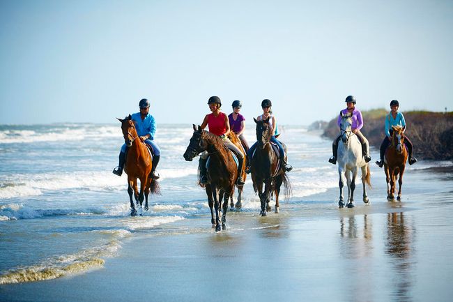 Equestrian_5 | Image 41