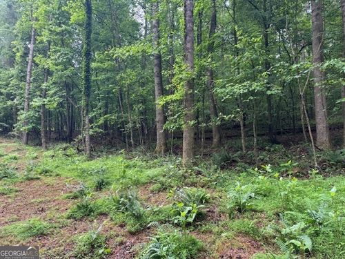 LT 32 Johnson Mill Rd, Ellijay, GA, 30536-7905 | Card Image
