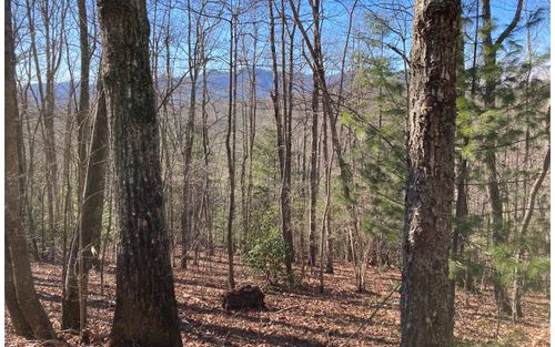 31 High Ridge Rd, Murphy, NC, 28906-4239 | Card Image