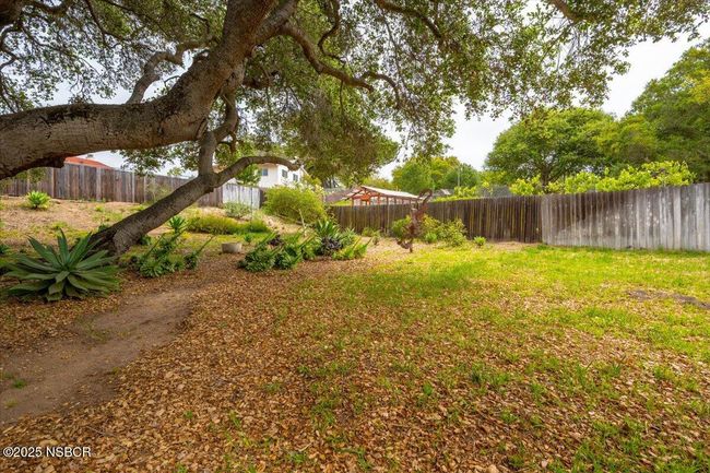 31-Back Yard | Image 25