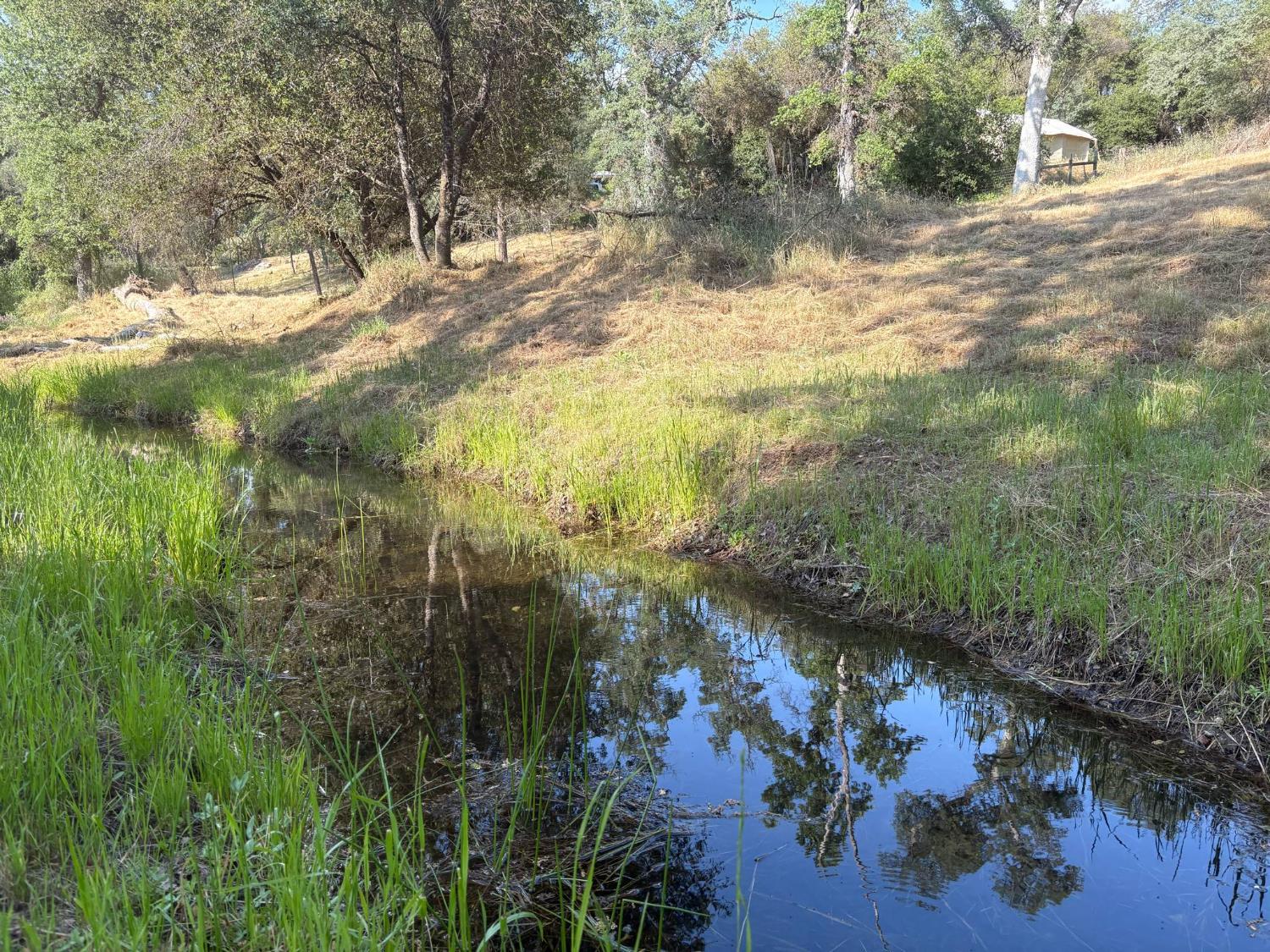 Land in Coarsegold 5
