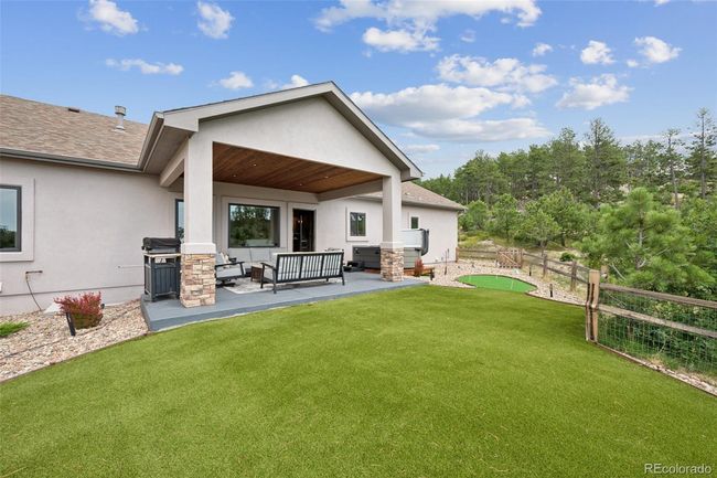 Back of Structure with pet friendly turf and putting green | Image 17