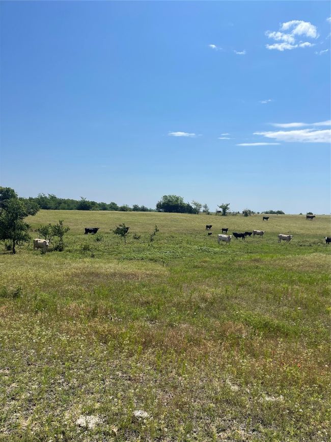 942 Elm Grove Rd, Home with 0 bedrooms, 0 bathrooms and null parking in Valley View TX | Image 9