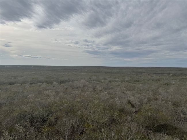 9156 Tx 339, Home with 0 bedrooms, 0 bathrooms and null parking in Freer TX | Image 6