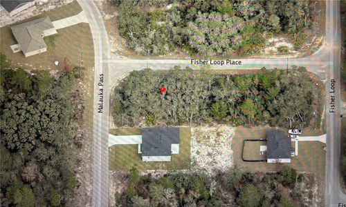 TBD Fisher Loop Place, OCKLAWAHA, FL, 32179 | Card Image