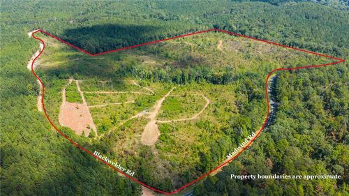 51 +/- ACRES Madwind Road, Jackson's Gap, AL, 36861 | Card Image