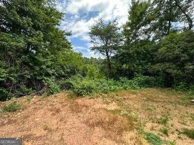 667 Long Branch Rd, Home with 0 bedrooms, 0 bathrooms and null parking in Marble NC | Image 28