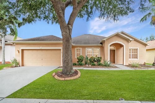 10903 Wildcat Dr, RIVERVIEW, FL, 33579-7779 | Card Image