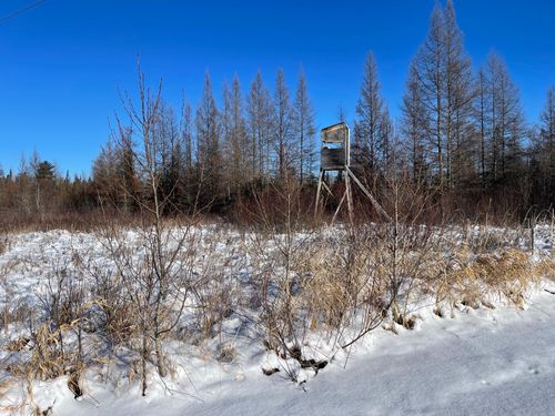 508 Cedar Valley Rd, Floodwood, MN, 55736 | Card Image