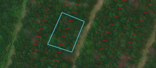 538 Wood Frst, Livingston, TX, 77351 | Card Image