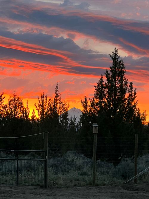 10001 Sw Geneva View Road, Terrebonne, OR, 97760 | Card Image