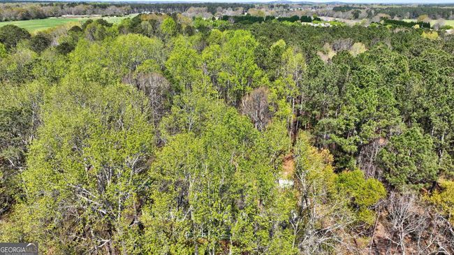 2444 Marion Ivie Rd, House other with 4 bedrooms, 4 bathrooms and null parking in Good Hope GA | Image 62