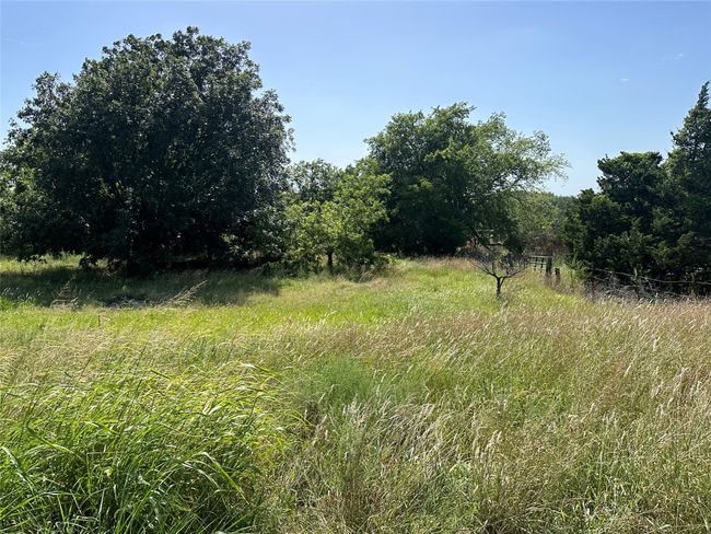 View of undeveloped land | Image 5