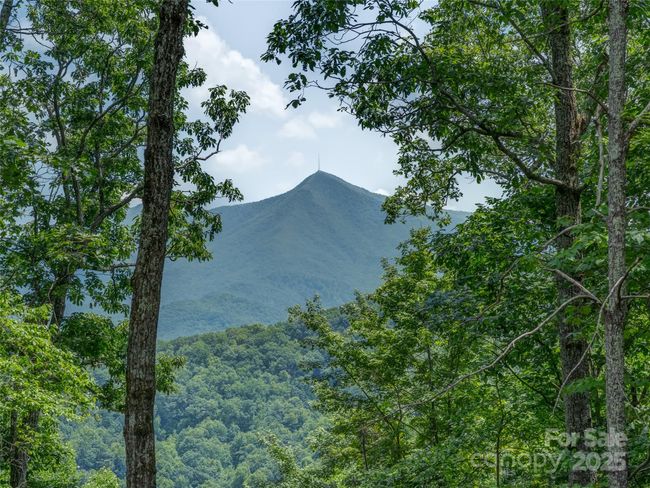 000 White Rock Branch Rd, Home with 0 bedrooms, 0 bathrooms and null parking in Candler NC | Image 10