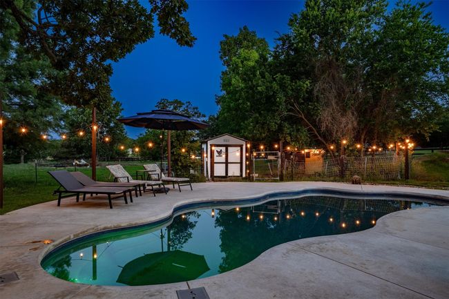 serene summer nights | Image 35