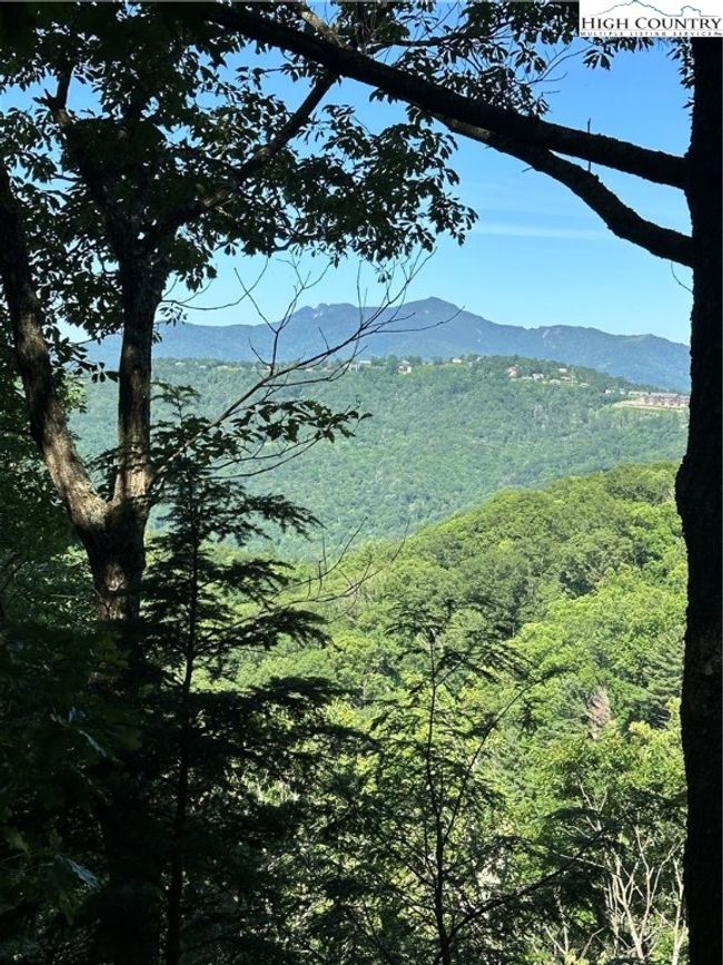 Photo taken from neighboring lot to show the view | Image 4