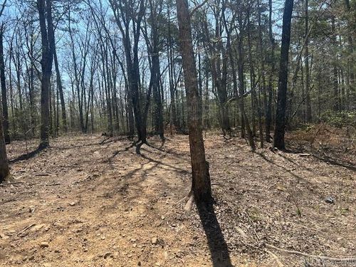 114 Coyote Canyon Road, Shirley, AR, 72153 | Card Image