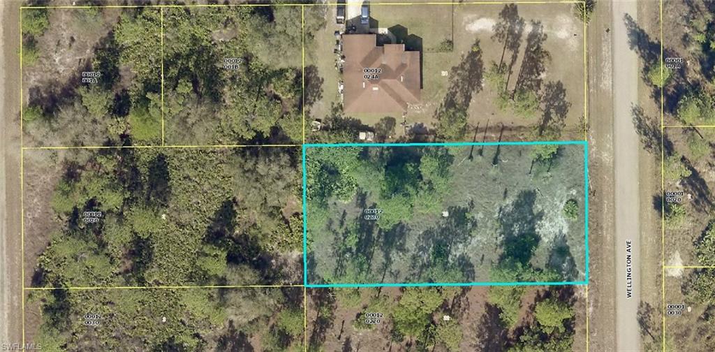 Land in LEHIGH ACRES
