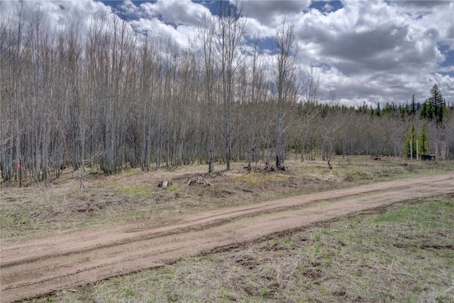 View of street featuring a forest view | Image 18