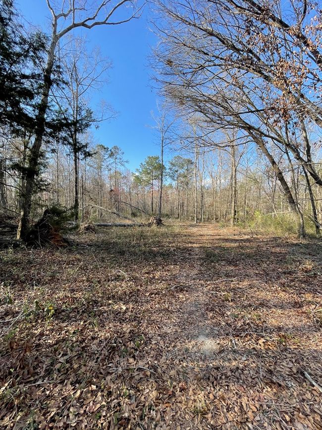 11380 Nashville Enigma Rd, House other with 4 bedrooms, 5 bathrooms and 3 parking in Enigma GA | Image 20
