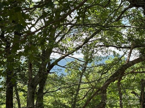 Lot 34 N Oakwood Dr, Marion, NC, 28752 | Card Image