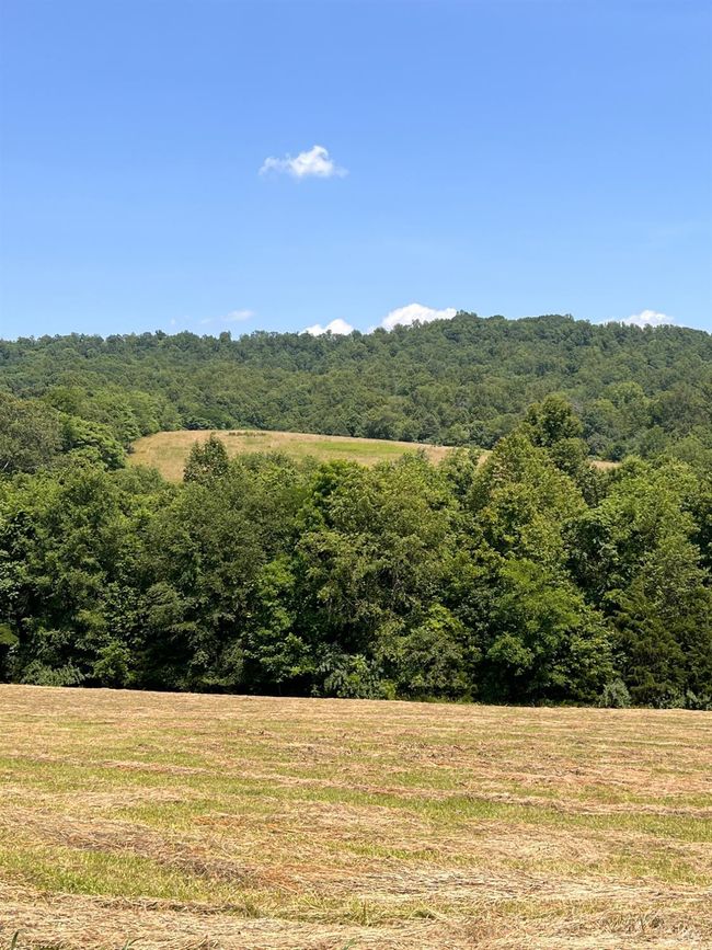 1410 Stevens Cove Rd, House other with 3 bedrooms, 2 bathrooms and null parking in LOVINGSTON VA | Image 33
