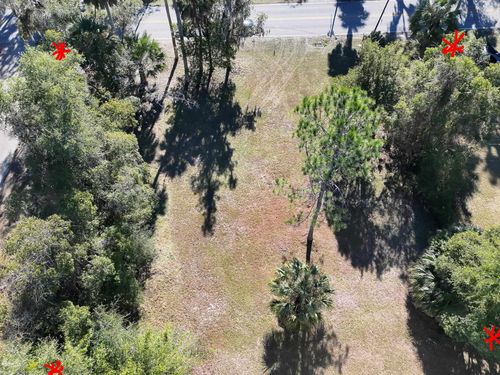 3000 Elm St, WELAKA, FL, 32193-2108 | Card Image