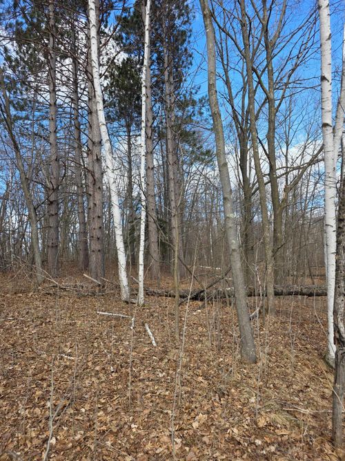 00 Highway W, Weyerhaeuser, WI, 54895 | Card Image