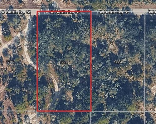 12538 W Baltic Ivy St, Crystal River, FL, 34428-7423 | Card Image