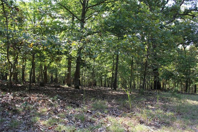 2231 Shady Ridge Road, Home with 0 bedrooms, 0 bathrooms and null parking in Kansas OK | Image 12