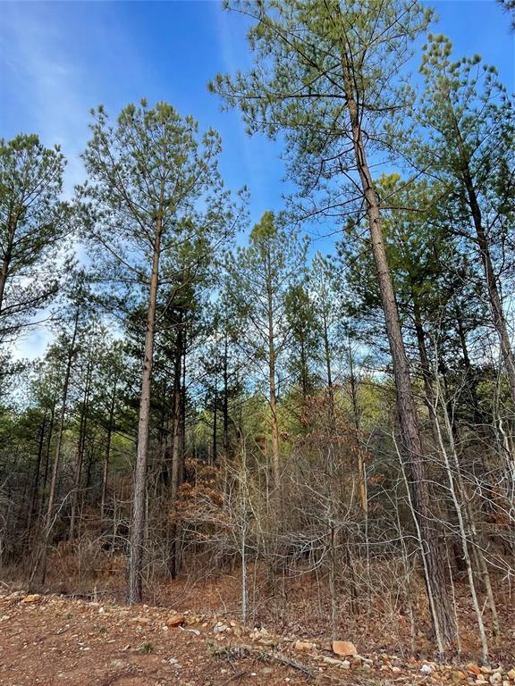 Land in Broken Bow 3