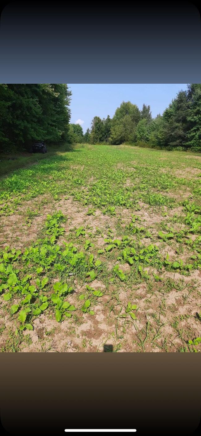 00000 County Road 673, Home with 0 bedrooms, 0 bathrooms and null parking in Lawrence MI | Image 17