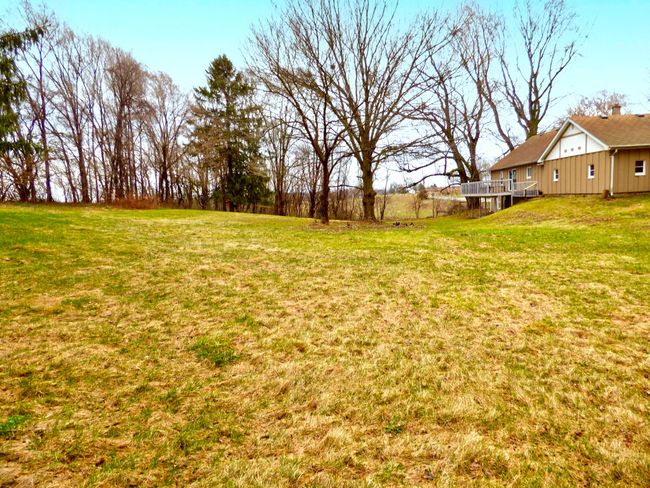 back yard b | Image 28
