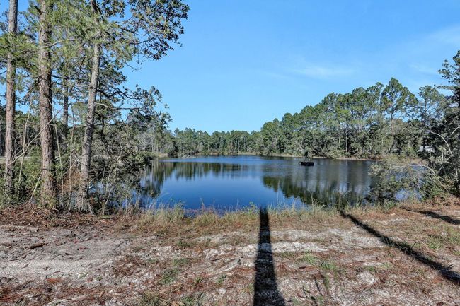141 Woods Rd, House other with 4 bedrooms, 3 bathrooms and null parking in San Mateo FL | Image 49