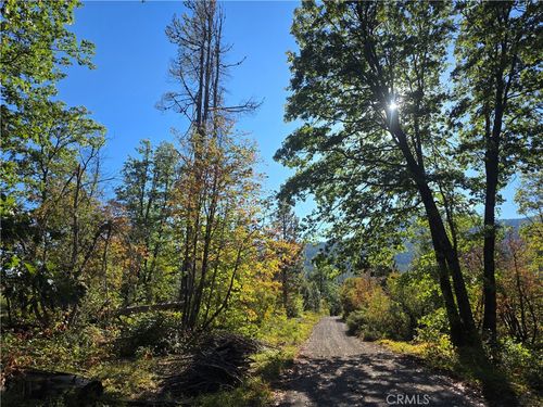 0 Muledeer Dr, Weed, CA, 96094 | Card Image