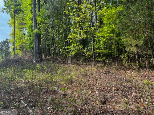 0 Waterview Ct, Lagrange, GA, 30240 | Card Image